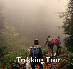 Wildlife Tour (3)